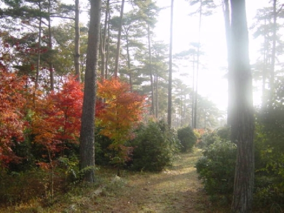 200411101735013d70625fA.jpg