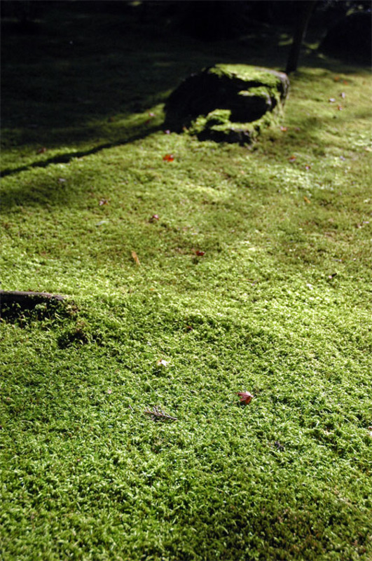 200810011443383dcf8b99A.jpg
