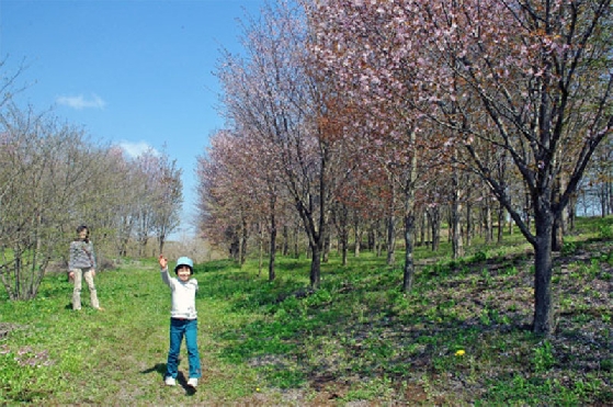 200904152015107c560f85D.jpg