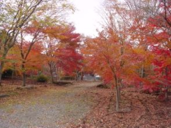 20041130113333dae2b762A.jpg