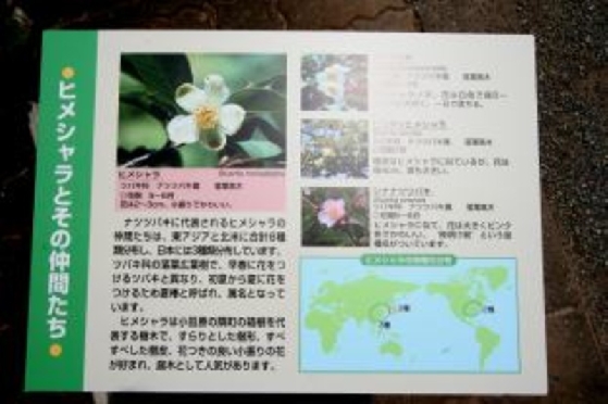 20060729110349dae2b762B.jpg