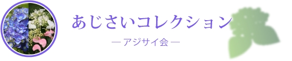 쥯