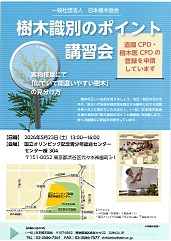 ���£�ǯ�ټ��ڼ��̤Υݥ���ȹֽ���